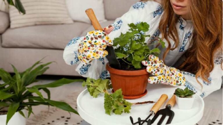 Garden Tips Decoradhouse